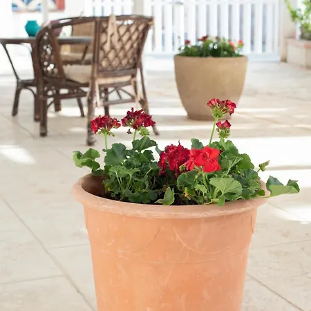 Mer- Tatil Evi Granelli