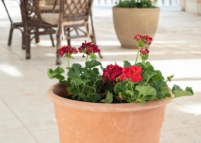 Mer- 度假居 格拉内利